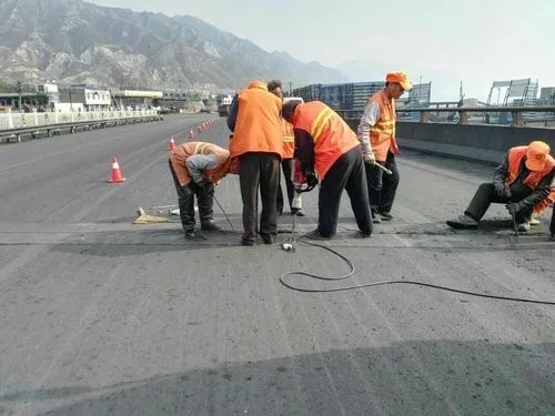 双台子道路桥梁病害治理